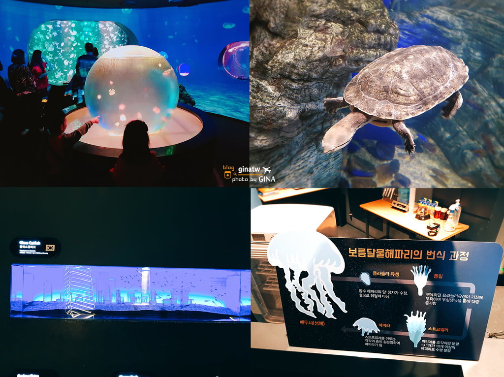 【汝矣島63CITY】63大廈展望台門票2023Aqua Planet海洋世界水族館 @GINA環球旅行生活