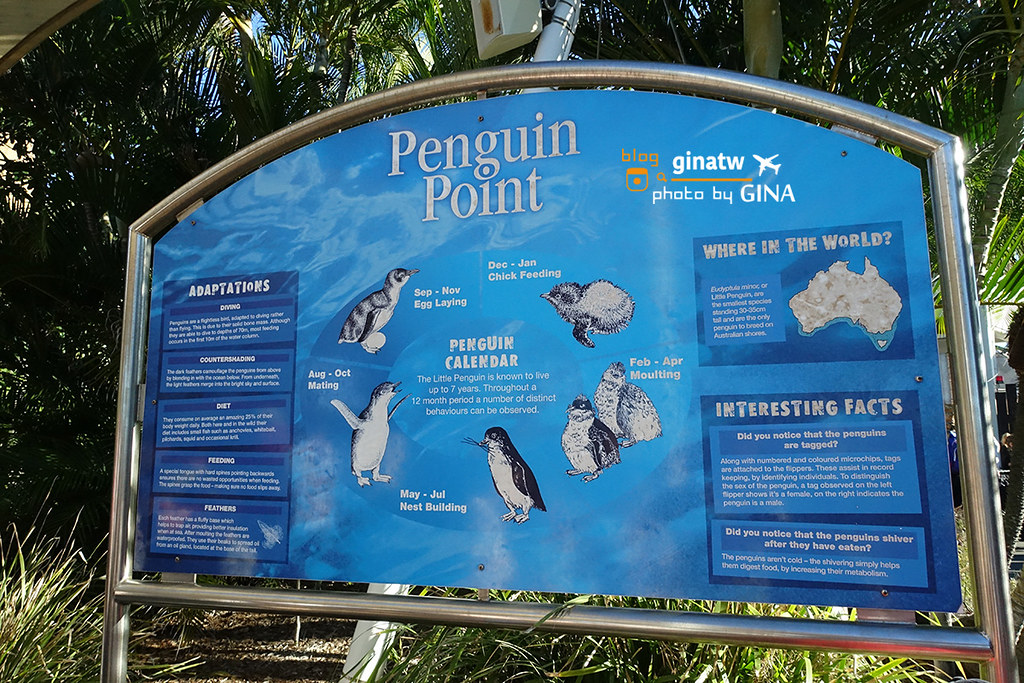 【2024澳洲海洋世界】黃金海岸－海洋世界攻略（Gold Coast Sea World）可愛海豚、海豹、企鵝一次通通看 @GINA環球旅行生活