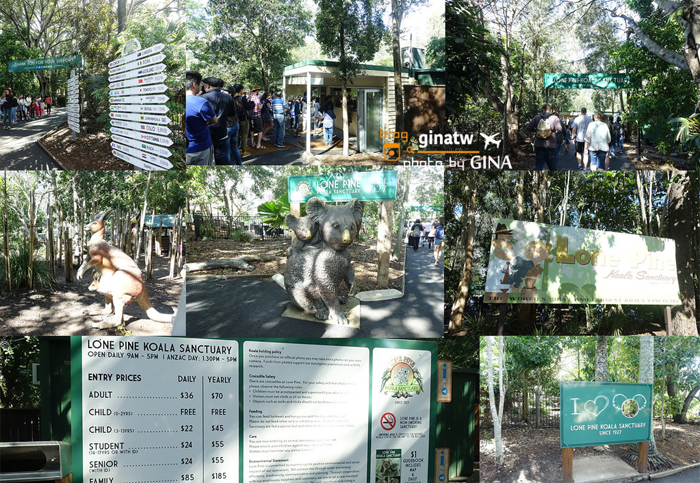 【布里斯本自由行】2024龍柏動物園門票優惠｜抱無尾熊、澳洲袋鼠｜Lone Pine Koala Sanctuary｜澳洲景點、野餐！ @GINA環球旅行生活