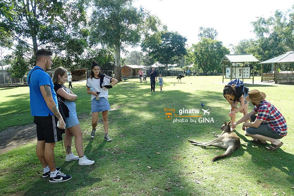 【布里斯本自由行】2024龍柏動物園門票優惠｜抱無尾熊、澳洲袋鼠｜Lone Pine Koala Sanctuary｜澳洲景點、野餐！ @GINA環球旅行生活