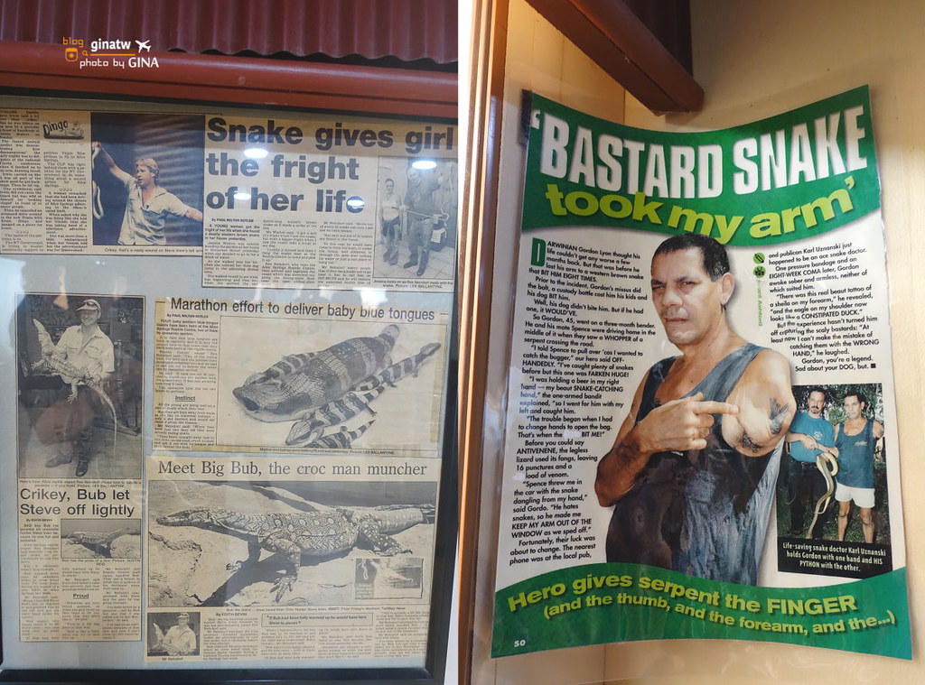 【2024愛麗斯泉景點】澳洲北領地爬行動物中心Alice Springs Reptile Centre @GINA環球旅行生活