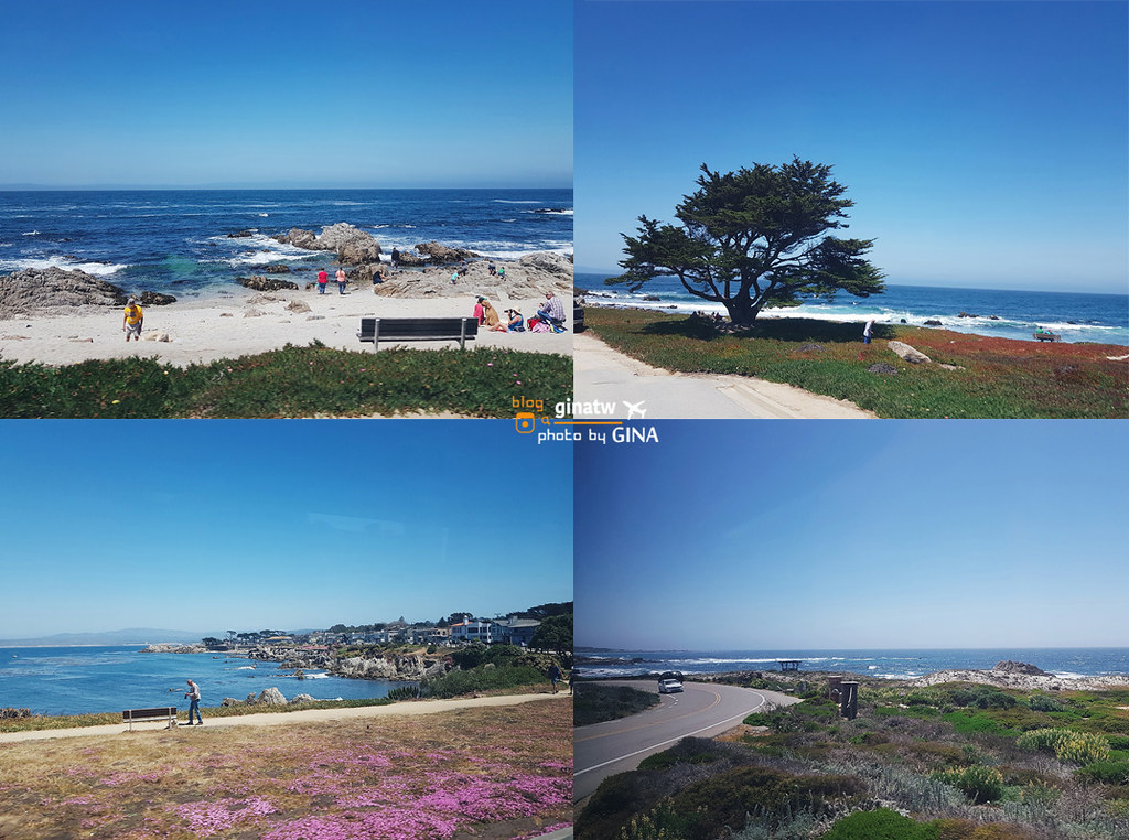 【2024舊金山景點】蒙特利一日遊Monterey Bay｜卡梅爾小鎮Carmel-by-the-Sea @GINA環球旅行生活