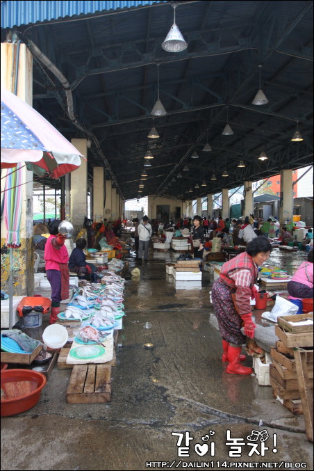 【2024札嘎其市場】釜山吃海鮮、生魚片必來！韓國最大魚市場 @GINA環球旅行生活
