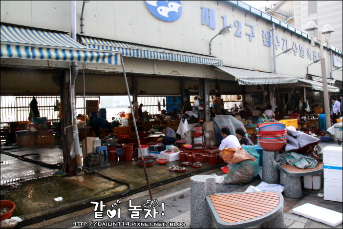 【2024札嘎其市場】釜山吃海鮮、生魚片必來！韓國最大魚市場 @GINA環球旅行生活