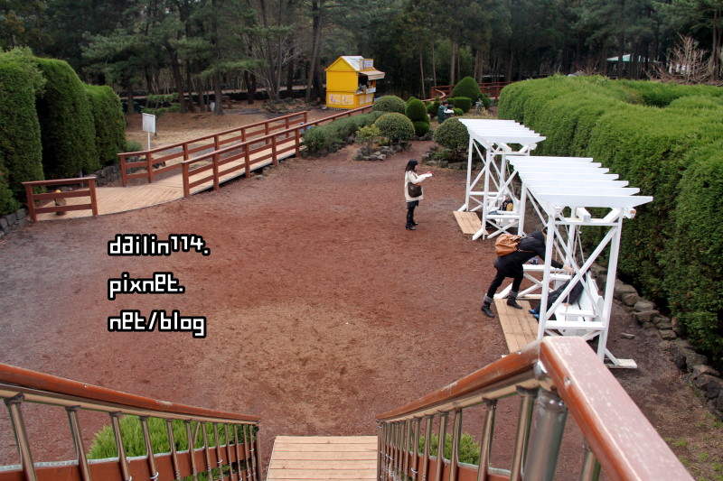 【2024濟州島東部景點】金寧迷路公園玩樂（김녕미로공원）跟我一起迷路小公園 @GINA環球旅行生活