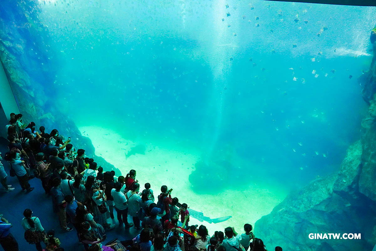 【Xpark水族館門票優惠】2022桃園青埔最新景點－都會型水生公園｜KKDAY、KLOOK線上票卷 @GINA環球旅行生活