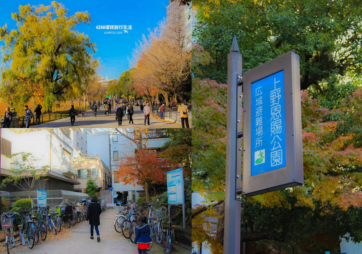 22東京賞楓 上野恩賜公園 楓葉 銀杏 不忍池 五條天神社 清水觀音堂 東京美術館