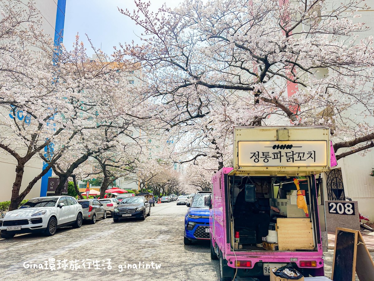 釜山櫻花景點攻略｜釜山賞櫻秘境 廣安里櫻花道 開琴洞櫻花路 海雲台迎月嶺 溫泉川櫻花 宇成公寓櫻花大道 @GINA環球旅行生活