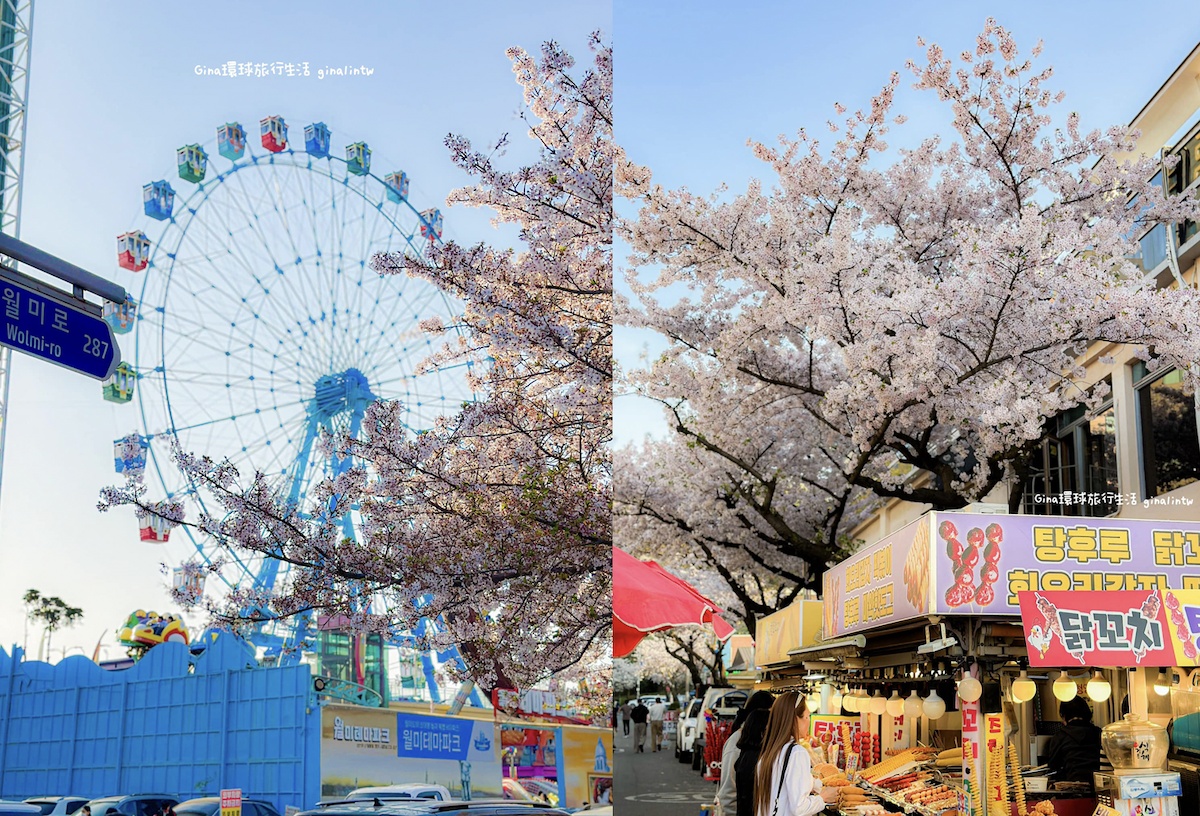 仁川賞櫻一日遊｜仁川櫻花景點、中國城唐人街雜醬麵、月尾島樂園 海鮮湯麵好好吃！ @GINA環球旅行生活