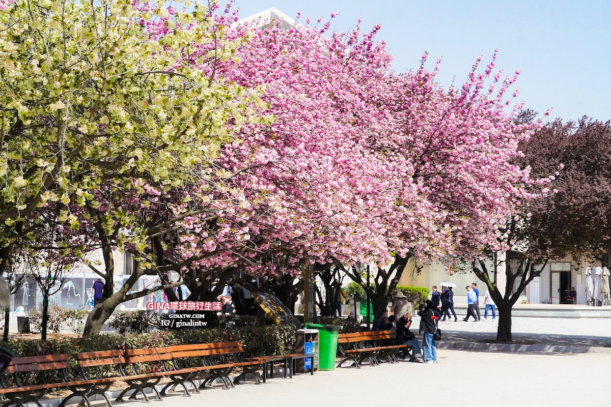 【西安必去景點2025】秦始皇兵馬俑博物館 門票+導遊解說、包車一日遊 交通攻略 @GINA環球旅行生活 【西安必去景點2025】秦始皇兵馬俑博物館 門票+導遊解說、包車一日遊 交通攻略 @GINA環球旅行生活