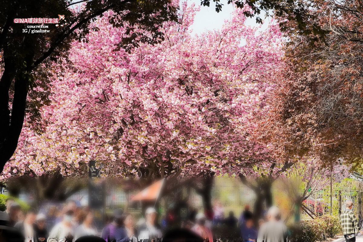 【西安必去景點2025】秦始皇兵馬俑博物館 門票+導遊解說、包車一日遊 交通攻略 @GINA環球旅行生活 【西安必去景點2025】秦始皇兵馬俑博物館 門票+導遊解說、包車一日遊 交通攻略 @GINA環球旅行生活