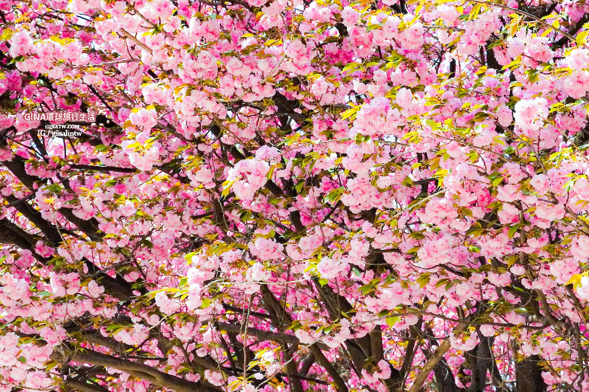 【西安必去景點2025】秦始皇兵馬俑博物館 門票+導遊解說、包車一日遊 交通攻略 @GINA環球旅行生活 【西安必去景點2025】秦始皇兵馬俑博物館 門票+導遊解說、包車一日遊 交通攻略 @GINA環球旅行生活