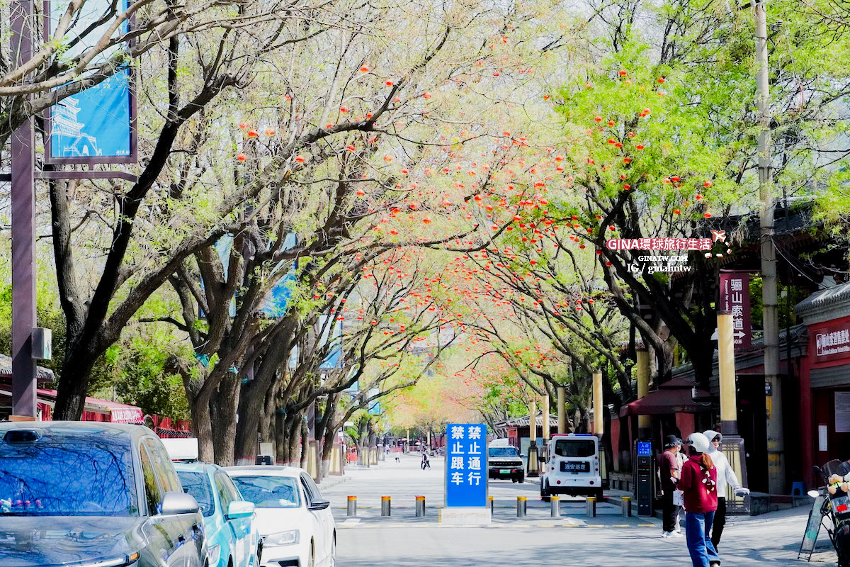 【西安必去景點2025】秦始皇兵馬俑博物館 門票+導遊解說、包車一日遊 交通攻略 @GINA環球旅行生活 【西安必去景點2025】秦始皇兵馬俑博物館 門票+導遊解說、包車一日遊 交通攻略 @GINA環球旅行生活