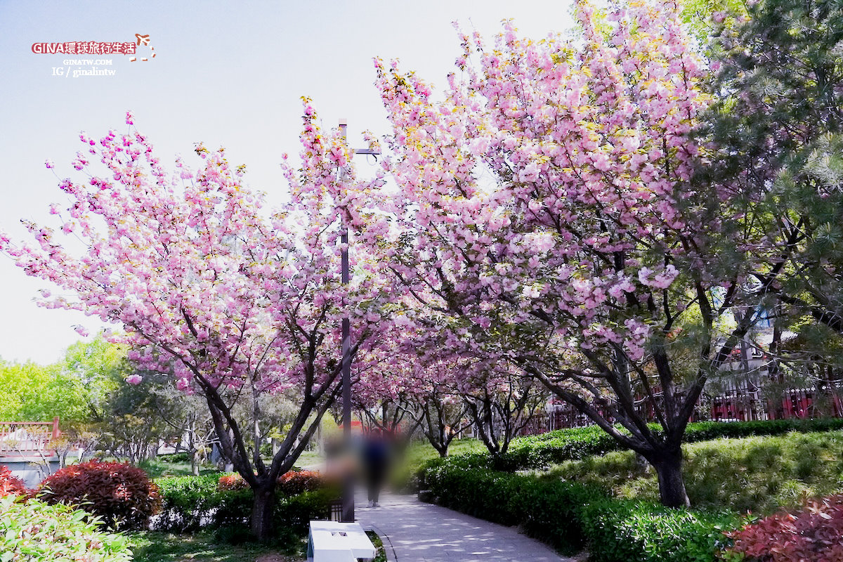 【西安必去景點2025】秦始皇兵馬俑博物館 門票+導遊解說、包車一日遊 交通攻略 @GINA環球旅行生活 【西安必去景點2025】秦始皇兵馬俑博物館 門票+導遊解說、包車一日遊 交通攻略 @GINA環球旅行生活