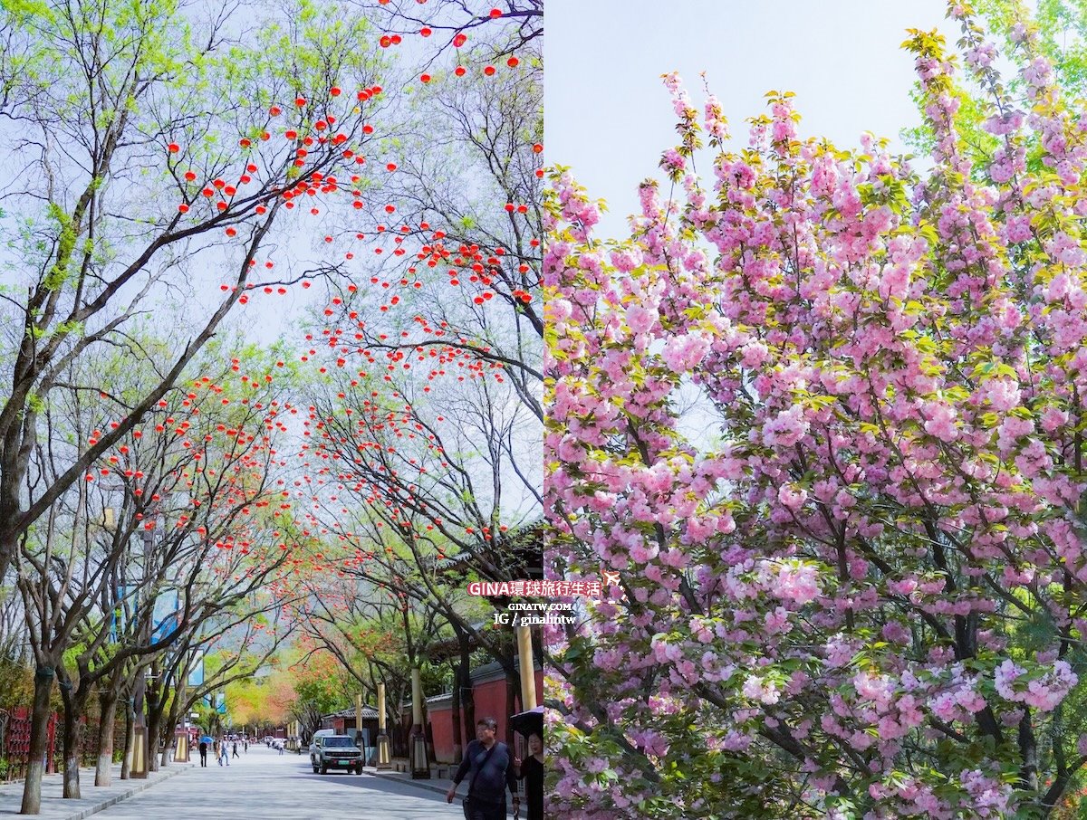 【西安必去景點2025】秦始皇兵馬俑博物館 門票+導遊解說、包車一日遊 交通攻略 @GINA環球旅行生活 【西安必去景點2025】秦始皇兵馬俑博物館 門票+導遊解說、包車一日遊 交通攻略 @GINA環球旅行生活