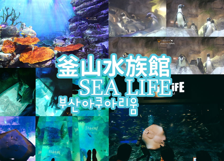 【釜山水族館門票2025】海雲台水族館SEA LIFE 線上門票優惠 釜山親子景點 @GINA環球旅行生活