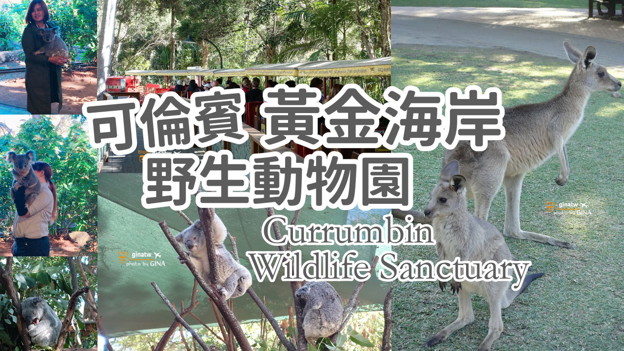 【黃金海岸景點2025】黃金海岸 可倫賓野生動物園 Currumbin Wildlife Sanctuary 澳洲抱無尾熊、看袋鼠囉！ @GINA環球旅行生活