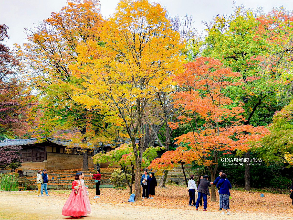 首爾秋天必訪！昌德宮秘苑預約2025 中文導覽門票、開放時間 @GINA環球旅行生活