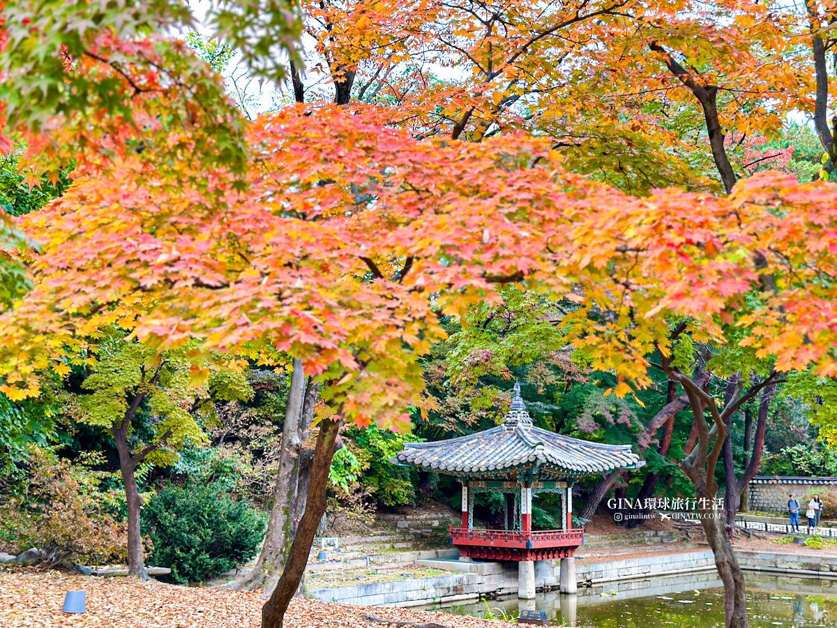 首爾秋天必訪！昌德宮秘苑預約2025 中文導覽門票、開放時間 @GINA環球旅行生活