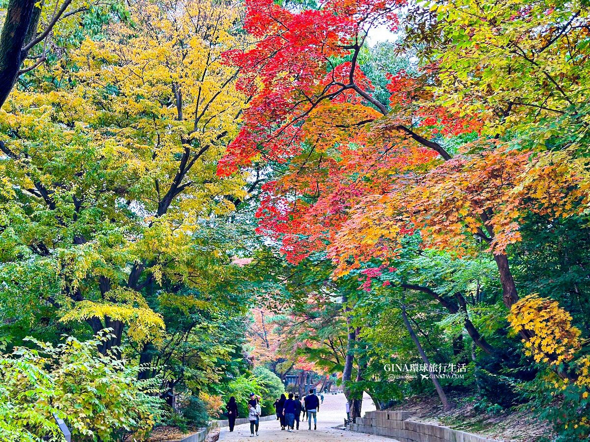 首爾秋天必訪！昌德宮秘苑預約2025 中文導覽門票、開放時間 @GINA環球旅行生活