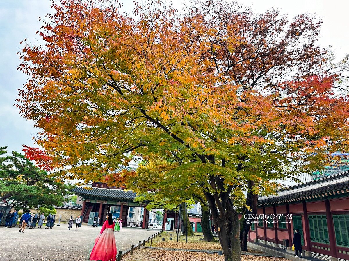 首爾秋天必訪！昌德宮秘苑預約2025 中文導覽門票、開放時間 @GINA環球旅行生活
