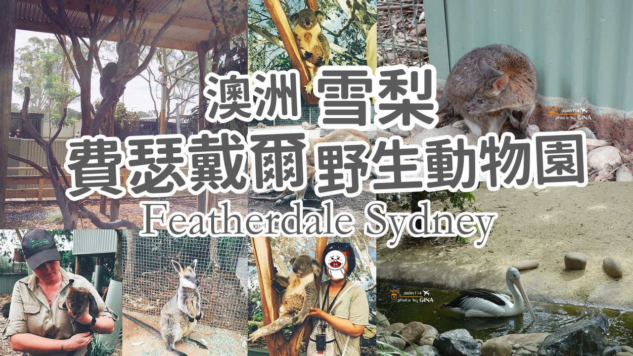 【雪梨無尾熊2025】雪梨費瑟戴爾野生動物園門票2025 Featherdale 野生動物園 袋鼠、抱無尾熊一次滿足免費跟無尾熊拍照哦！ @GINA環球旅行生活