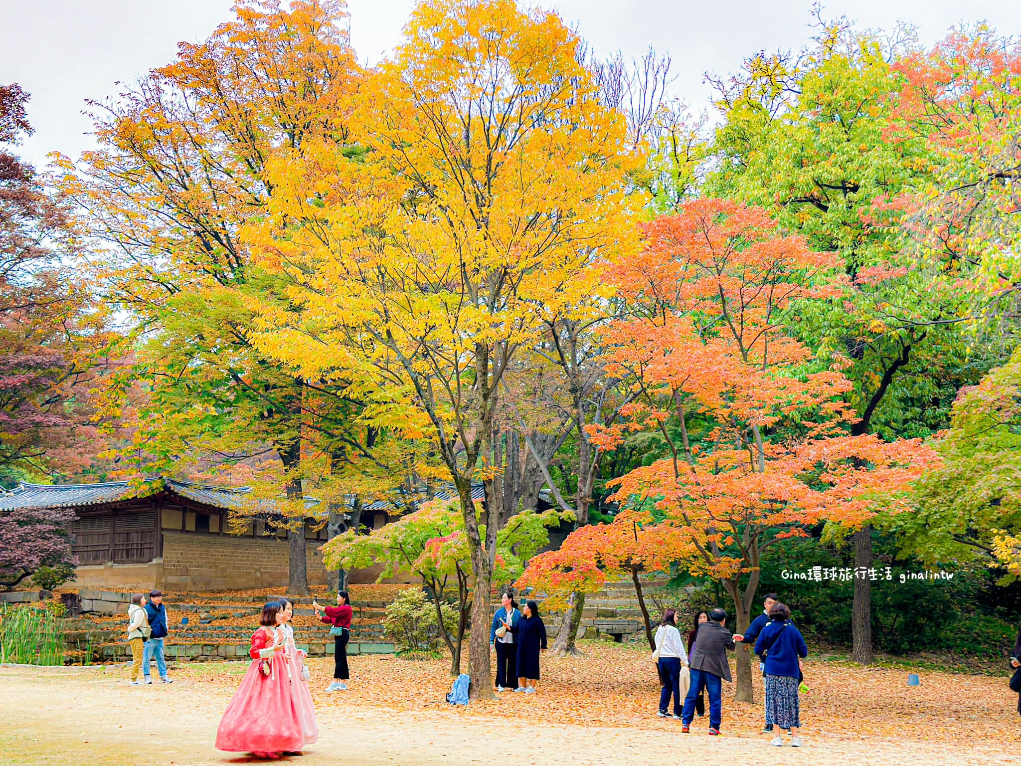 【韓國楓葉2025】韓國賞楓、韓國銀杏 楓葉時間預測、首爾釜山大邱賞楓景點、首爾釜山賞楓一日團 @GINA環球旅行生活