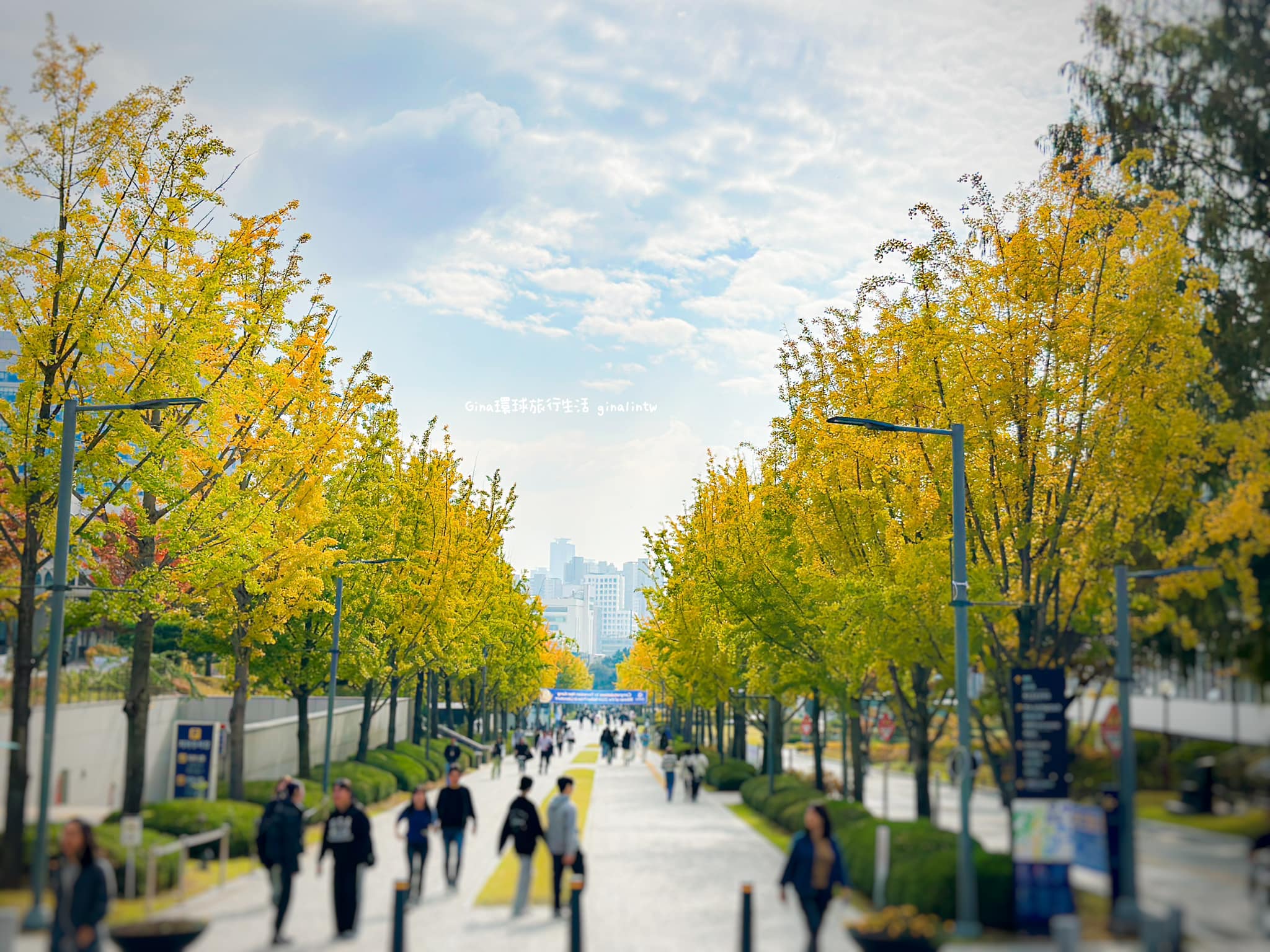 【韓國楓葉2025】韓國賞楓、韓國銀杏 楓葉時間預測、首爾釜山大邱賞楓景點、首爾釜山賞楓一日團 @GINA環球旅行生活