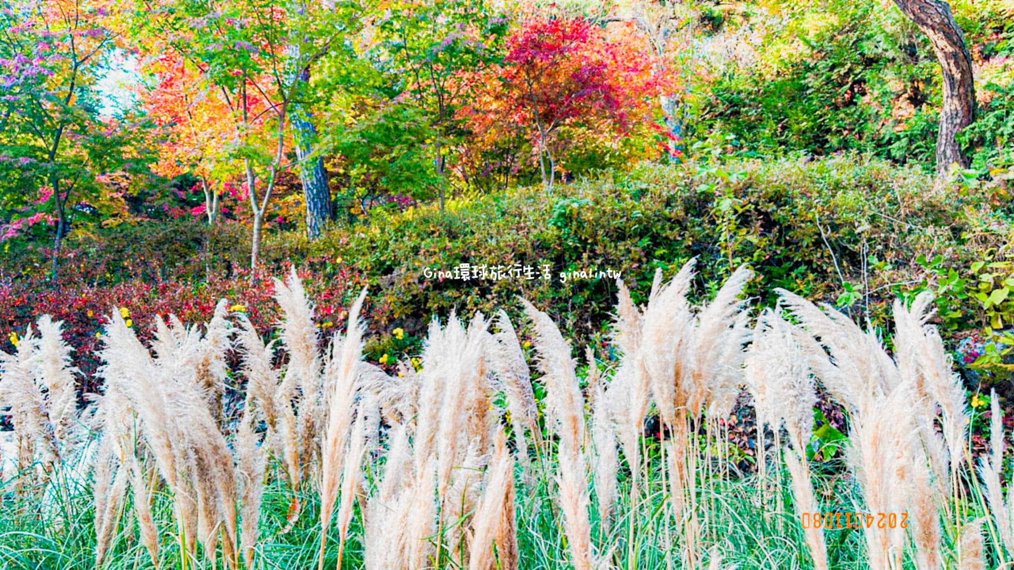 【和談林一日遊】和談林纜車預約2025 韓國賞楓必去景點 Hwadam Botanic Garden @GINA環球旅行生活 【和談林一日遊】和談林纜車預約2025 韓國賞楓必去景點 Hwadam Botanic Garden @GINA環球旅行生活