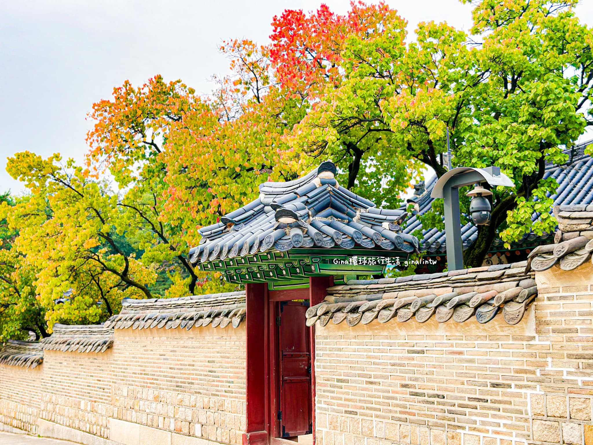 【首爾賞楓必去2025】首爾楓葉、首爾銀杏必去景點懶人包 @GINA環球旅行生活