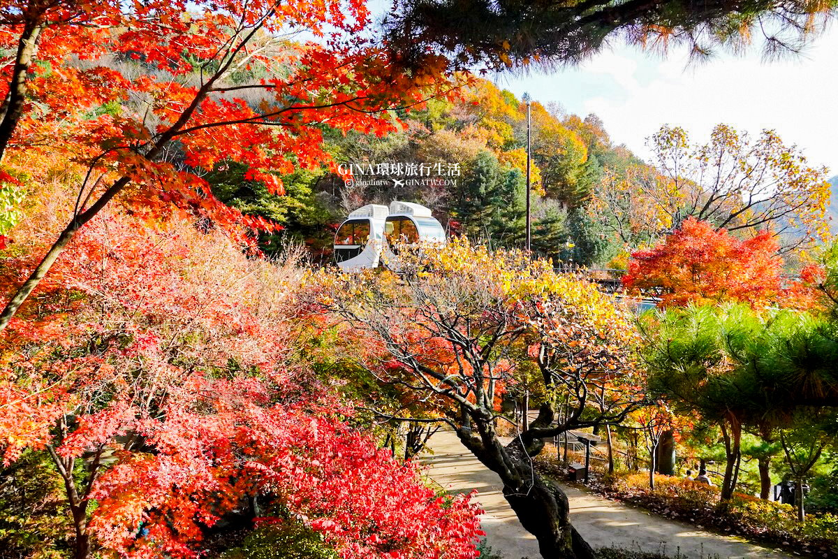 【和談林一日遊】和談林纜車預約2025 韓國賞楓必去景點 Hwadam Botanic Garden @GINA環球旅行生活 【和談林一日遊】和談林纜車預約2025 韓國賞楓必去景點 Hwadam Botanic Garden @GINA環球旅行生活