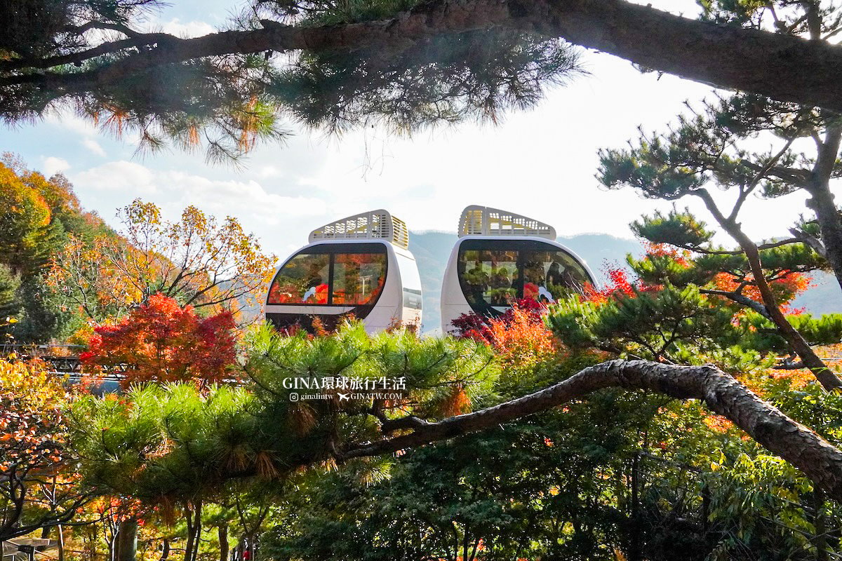 【和談林一日遊】和談林纜車預約2025 韓國賞楓必去景點 Hwadam Botanic Garden @GINA環球旅行生活 【和談林一日遊】和談林纜車預約2025 韓國賞楓必去景點 Hwadam Botanic Garden @GINA環球旅行生活