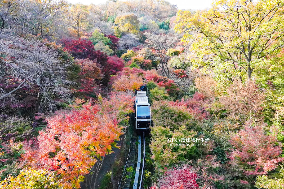 【和談林一日遊】和談林纜車預約2025 韓國賞楓必去景點 Hwadam Botanic Garden @GINA環球旅行生活 【和談林一日遊】和談林纜車預約2025 韓國賞楓必去景點 Hwadam Botanic Garden @GINA環球旅行生活