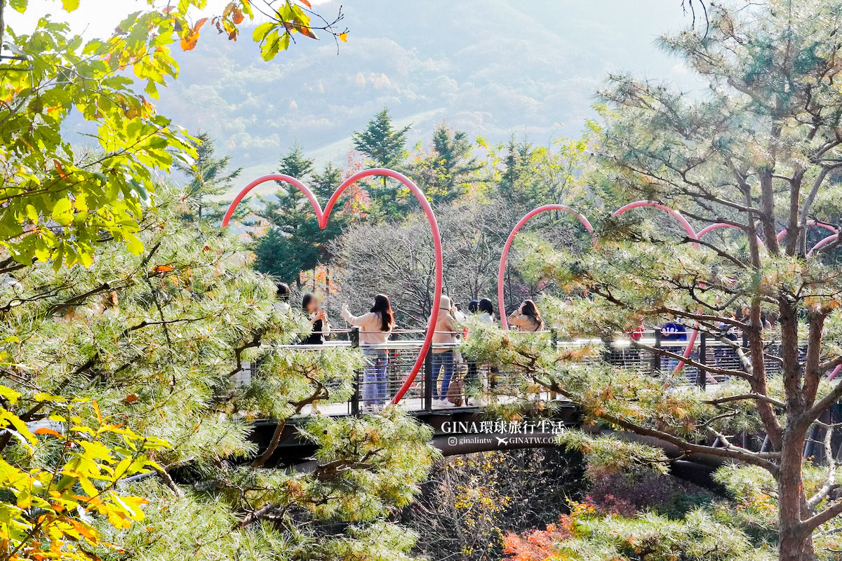 【和談林一日遊】和談林纜車預約2025 韓國賞楓必去景點 Hwadam Botanic Garden @GINA環球旅行生活 【和談林一日遊】和談林纜車預約2025 韓國賞楓必去景點 Hwadam Botanic Garden @GINA環球旅行生活
