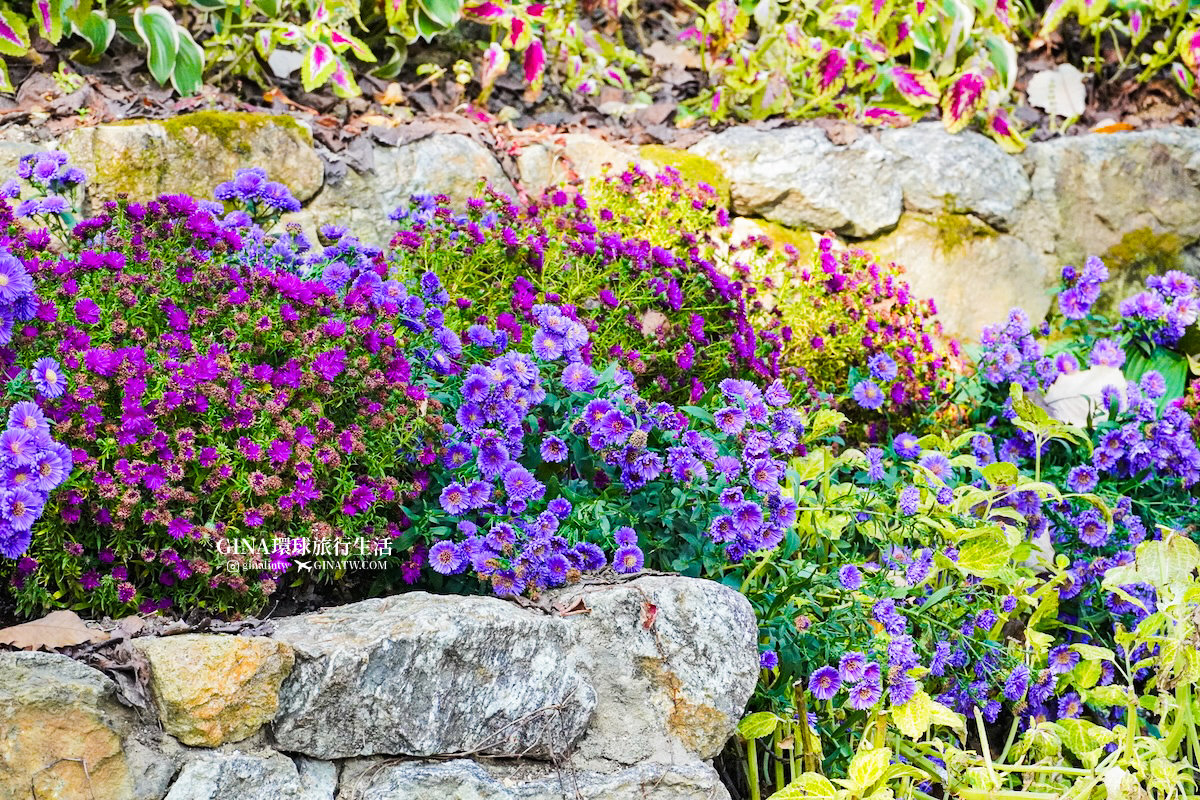 【和談林一日遊】和談林纜車預約2025 韓國賞楓必去景點 Hwadam Botanic Garden @GINA環球旅行生活