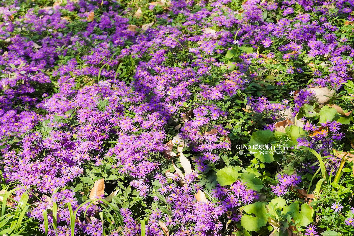 【和談林一日遊】和談林纜車預約2025 韓國賞楓必去景點 Hwadam Botanic Garden @GINA環球旅行生活 【和談林一日遊】和談林纜車預約2025 韓國賞楓必去景點 Hwadam Botanic Garden @GINA環球旅行生活