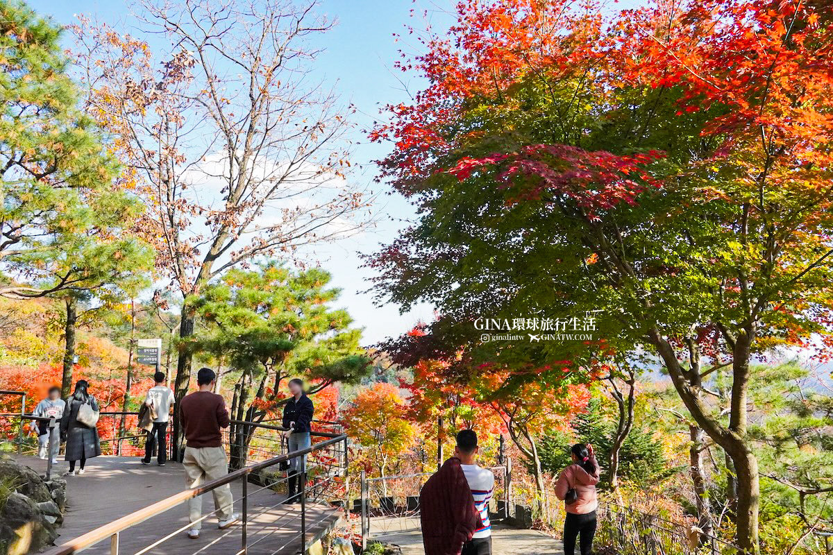 【和談林一日遊】和談林纜車預約2025 韓國賞楓必去景點 Hwadam Botanic Garden @GINA環球旅行生活 【和談林一日遊】和談林纜車預約2025 韓國賞楓必去景點 Hwadam Botanic Garden @GINA環球旅行生活