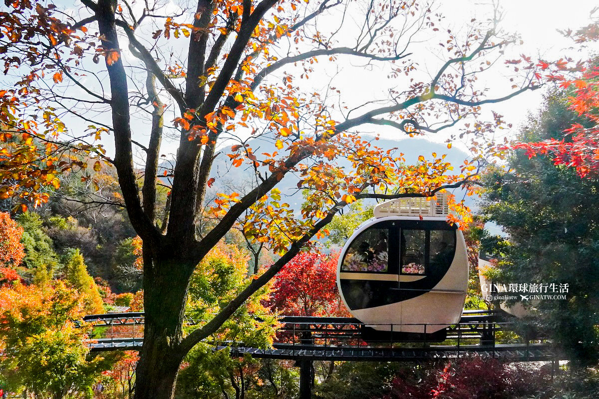 【和談林一日遊】和談林纜車預約2025 韓國賞楓必去景點 Hwadam Botanic Garden @GINA環球旅行生活 【和談林一日遊】和談林纜車預約2025 韓國賞楓必去景點 Hwadam Botanic Garden @GINA環球旅行生活