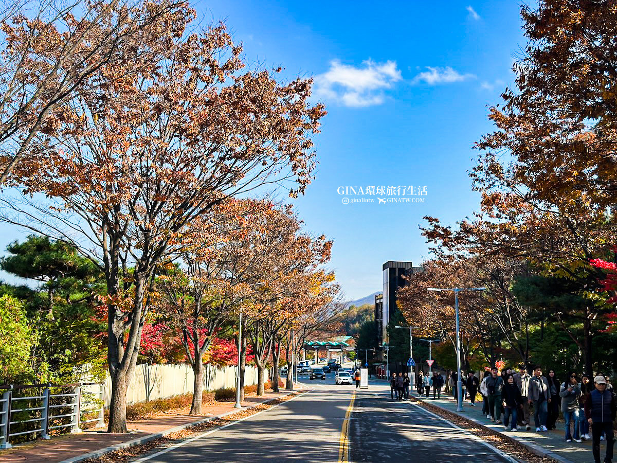 【和談林一日遊】和談林纜車預約2025 韓國賞楓必去景點 Hwadam Botanic Garden @GINA環球旅行生活