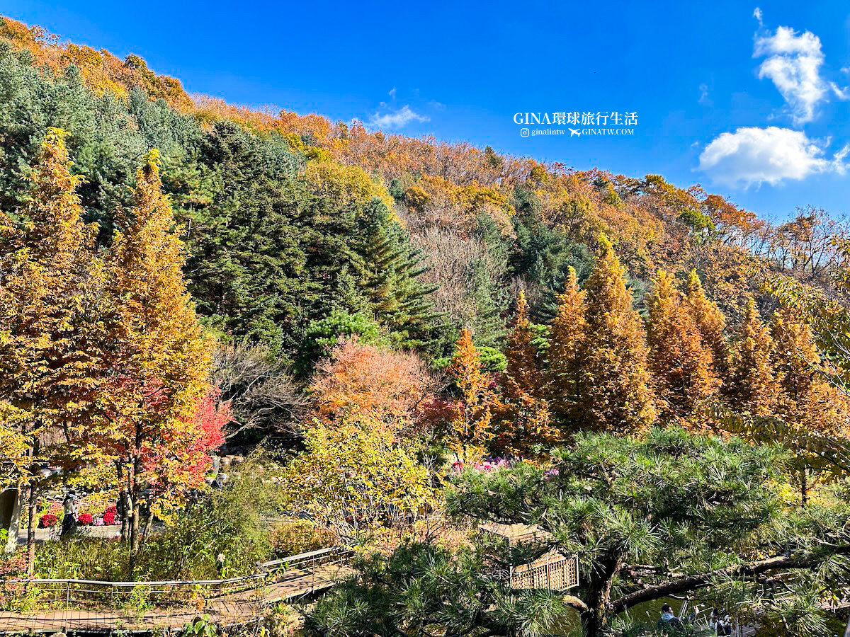 【和談林一日遊】和談林纜車預約2025 韓國賞楓必去景點 Hwadam Botanic Garden @GINA環球旅行生活 【和談林一日遊】和談林纜車預約2025 韓國賞楓必去景點 Hwadam Botanic Garden @GINA環球旅行生活