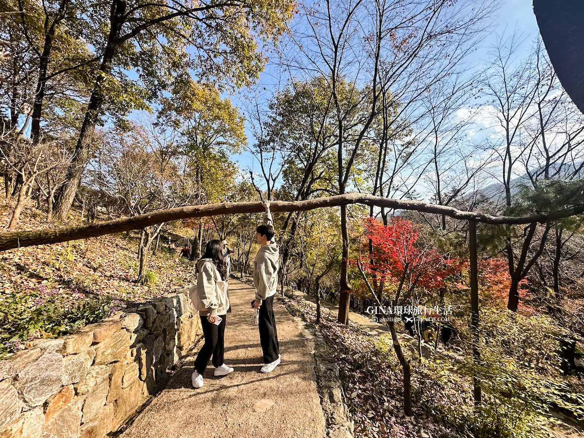 【和談林一日遊】和談林纜車預約2025 韓國賞楓必去景點 Hwadam Botanic Garden @GINA環球旅行生活