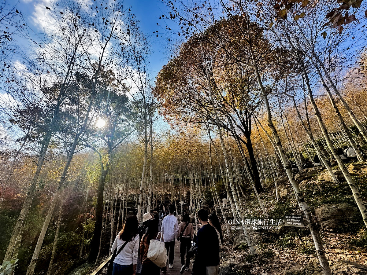 【和談林一日遊】和談林纜車預約2025 韓國賞楓必去景點 Hwadam Botanic Garden @GINA環球旅行生活 【和談林一日遊】和談林纜車預約2025 韓國賞楓必去景點 Hwadam Botanic Garden @GINA環球旅行生活