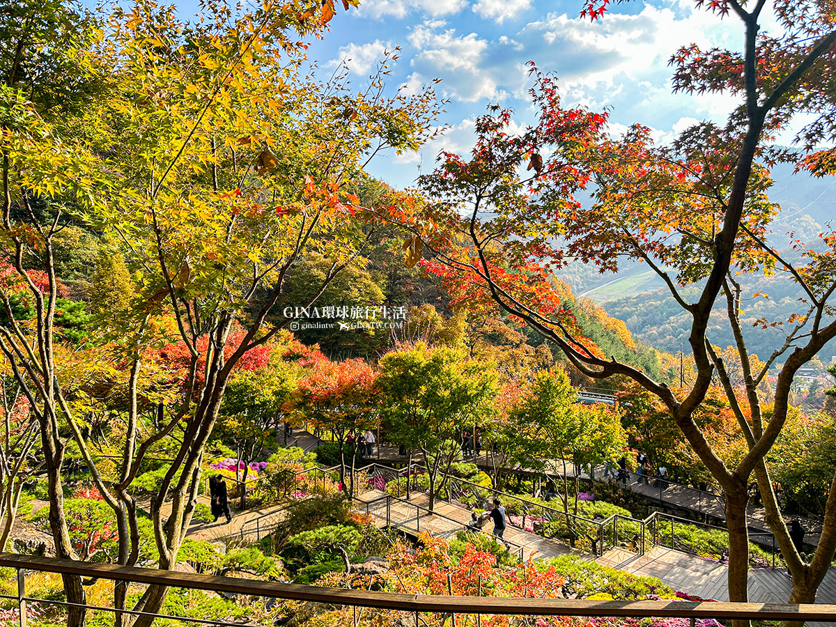【和談林一日遊】和談林纜車預約2025 韓國賞楓必去景點 Hwadam Botanic Garden @GINA環球旅行生活