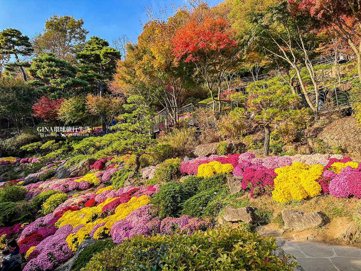 【和談林一日遊】和談林纜車預約2025 韓國賞楓必去景點 Hwadam Botanic Garden @GINA環球旅行生活 【和談林一日遊】和談林纜車預約2025 韓國賞楓必去景點 Hwadam Botanic Garden @GINA環球旅行生活