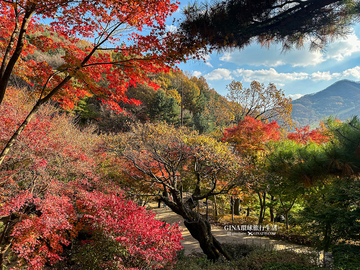 【和談林一日遊】和談林纜車預約2025 韓國賞楓必去景點 Hwadam Botanic Garden @GINA環球旅行生活 【和談林一日遊】和談林纜車預約2025 韓國賞楓必去景點 Hwadam Botanic Garden @GINA環球旅行生活