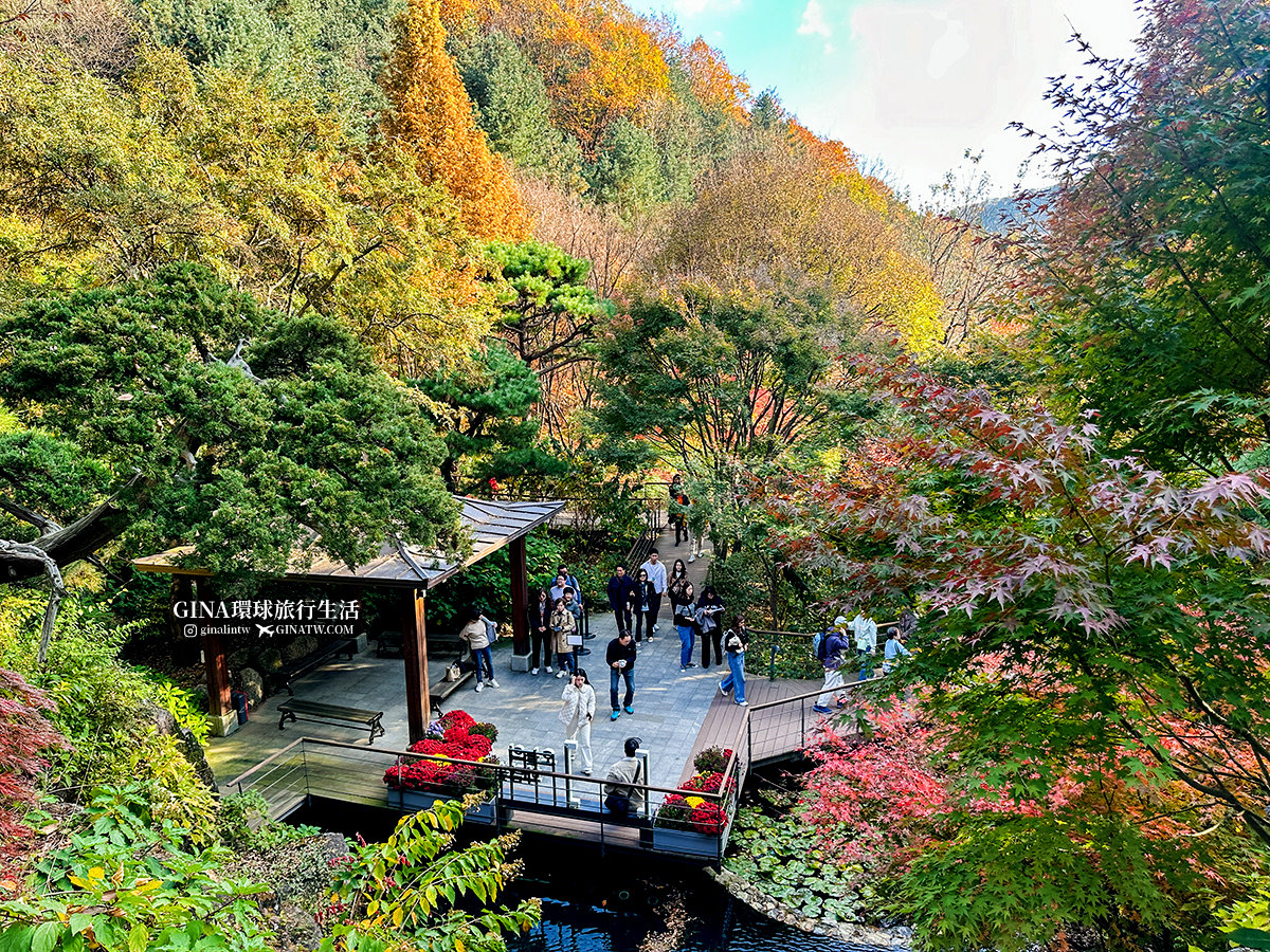 【和談林一日遊】和談林纜車預約2025 韓國賞楓必去景點 Hwadam Botanic Garden @GINA環球旅行生活 【和談林一日遊】和談林纜車預約2025 韓國賞楓必去景點 Hwadam Botanic Garden @GINA環球旅行生活