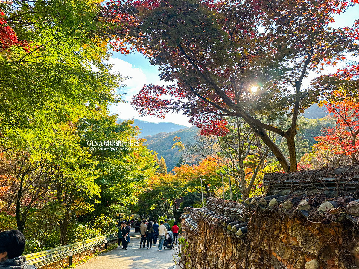 【和談林一日遊】和談林纜車預約2025 韓國賞楓必去景點 Hwadam Botanic Garden @GINA環球旅行生活 【和談林一日遊】和談林纜車預約2025 韓國賞楓必去景點 Hwadam Botanic Garden @GINA環球旅行生活