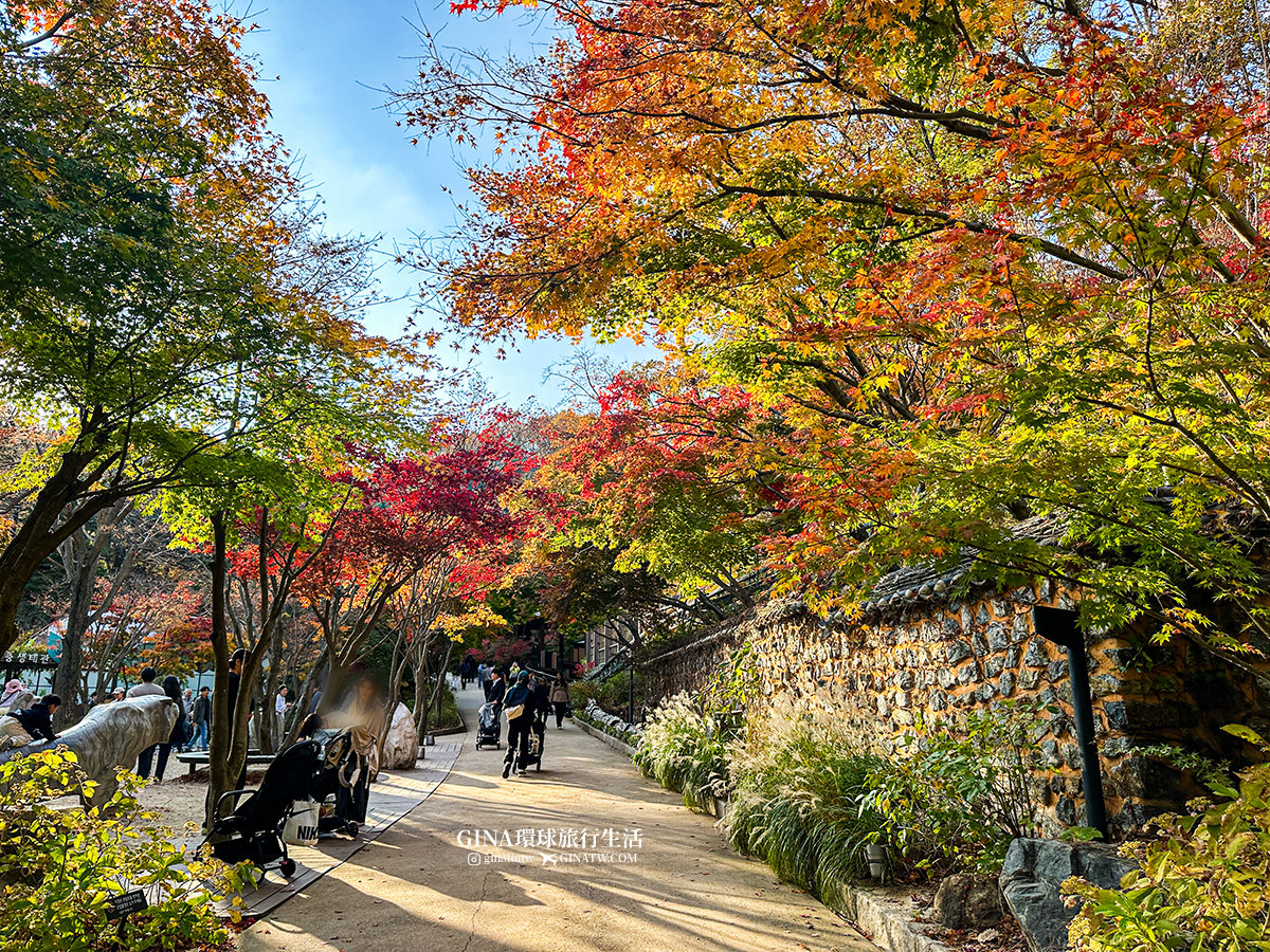 【和談林一日遊】和談林纜車預約2025 韓國賞楓必去景點 Hwadam Botanic Garden @GINA環球旅行生活