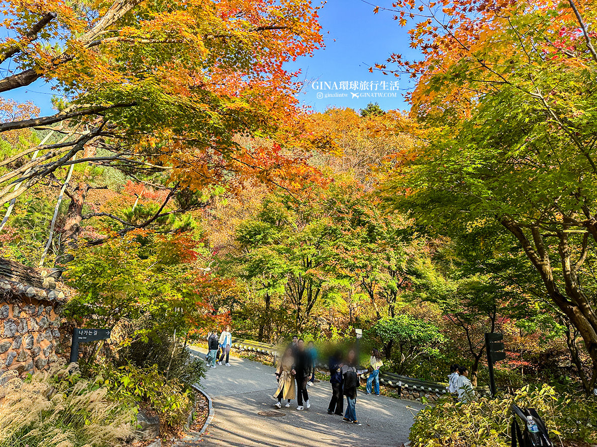 【和談林一日遊】和談林纜車預約2025 韓國賞楓必去景點 Hwadam Botanic Garden @GINA環球旅行生活 【和談林一日遊】和談林纜車預約2025 韓國賞楓必去景點 Hwadam Botanic Garden @GINA環球旅行生活