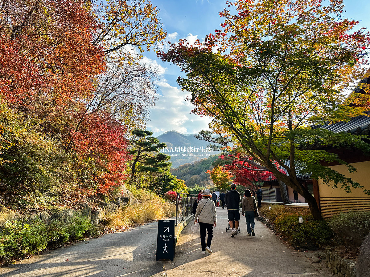 【和談林一日遊】和談林纜車預約2025 韓國賞楓必去景點 Hwadam Botanic Garden @GINA環球旅行生活